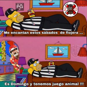 Cancela2.0 del Ovoide