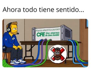 Cancela2.0 del ovoide