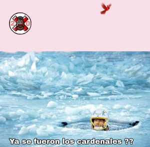 Cancela2.0 del ovoide