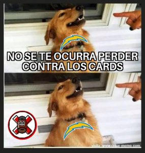 Cancela2.0 del ovoide