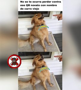 Cancelados del Ovoide