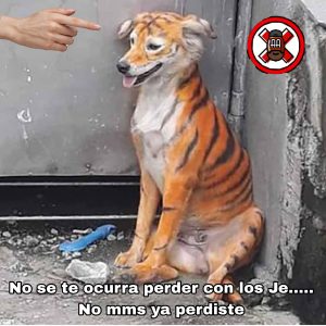 Cancelados del Ovoide