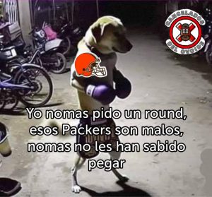 Cancelados del ovoide