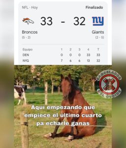 Cancelados del ovoide