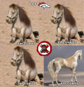 Cancelados del ovoide