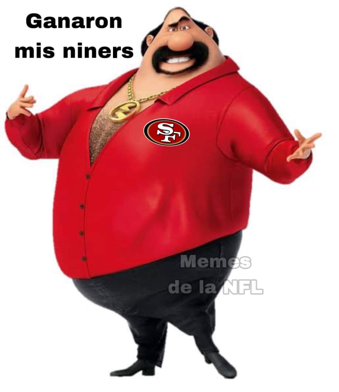Memes de la NFL