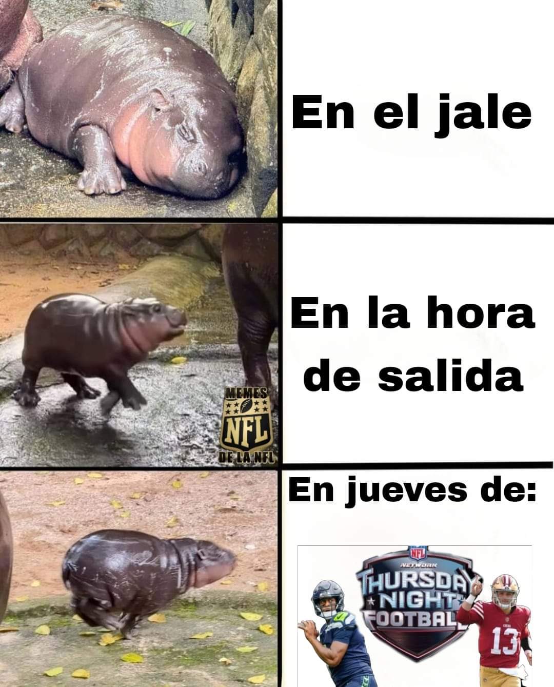 Memes de la NFL