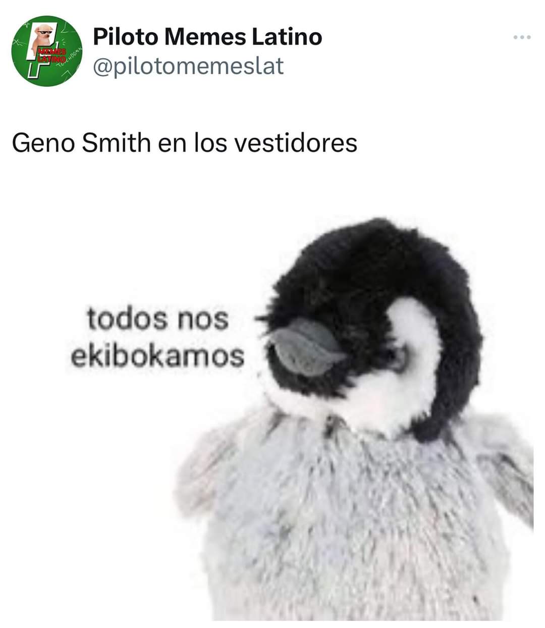 Piloto Memes Latino