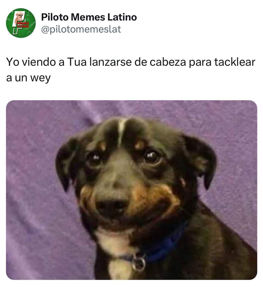 Piloto Memes Latino