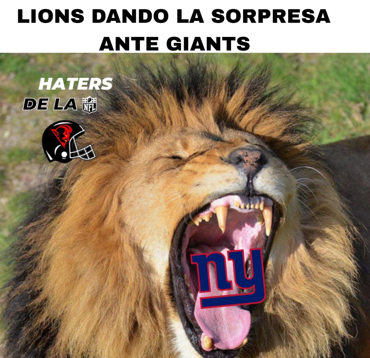 Haters NFL