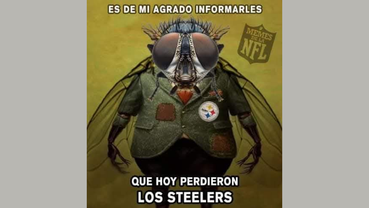 Los mejores Memes NFL del Browns vs Steelers – Semana 12, 2024