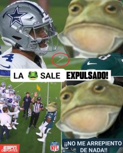 Memes de la enefele