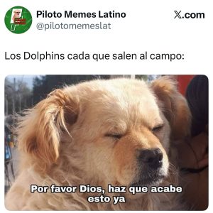 Memes de la enefele