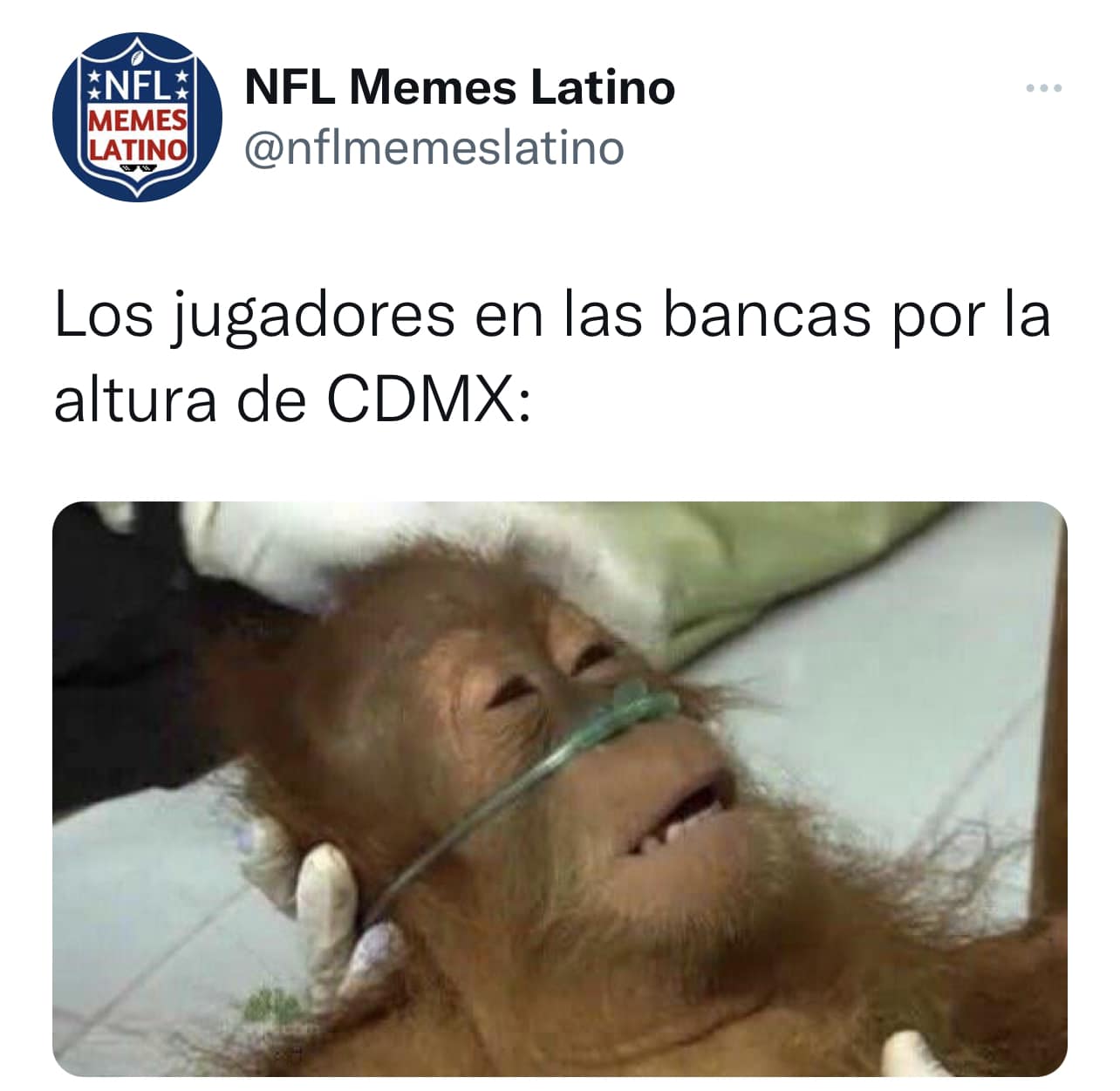 Memes Latino