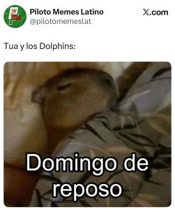 Piloto Memes Latino