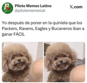 Piloto Memes Latino