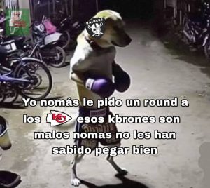 Piloto Memes Latino