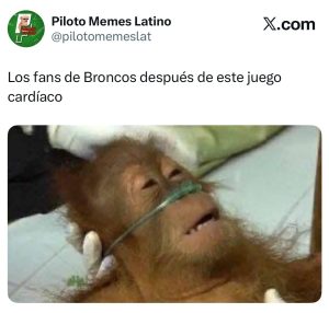 Piloto memes latino