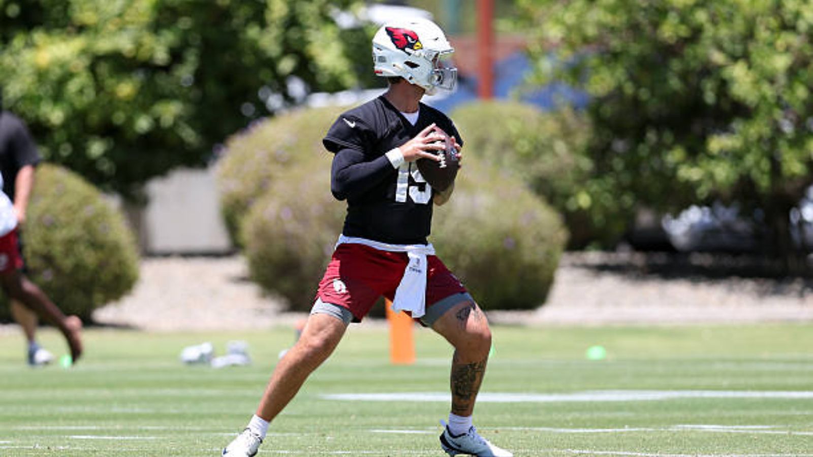 QB Carson Beck, Arizona Cardinals. Foto: Getty Images.