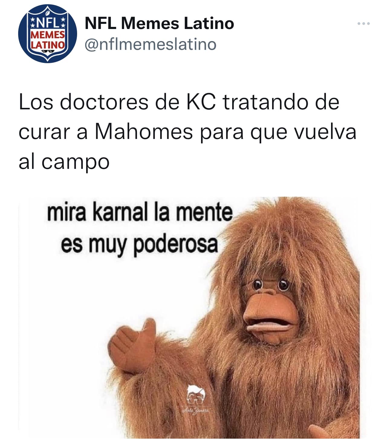 Memes Latino