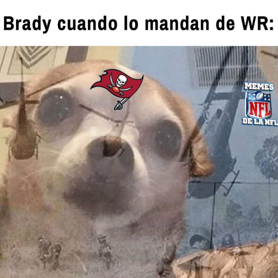 Memes NFL