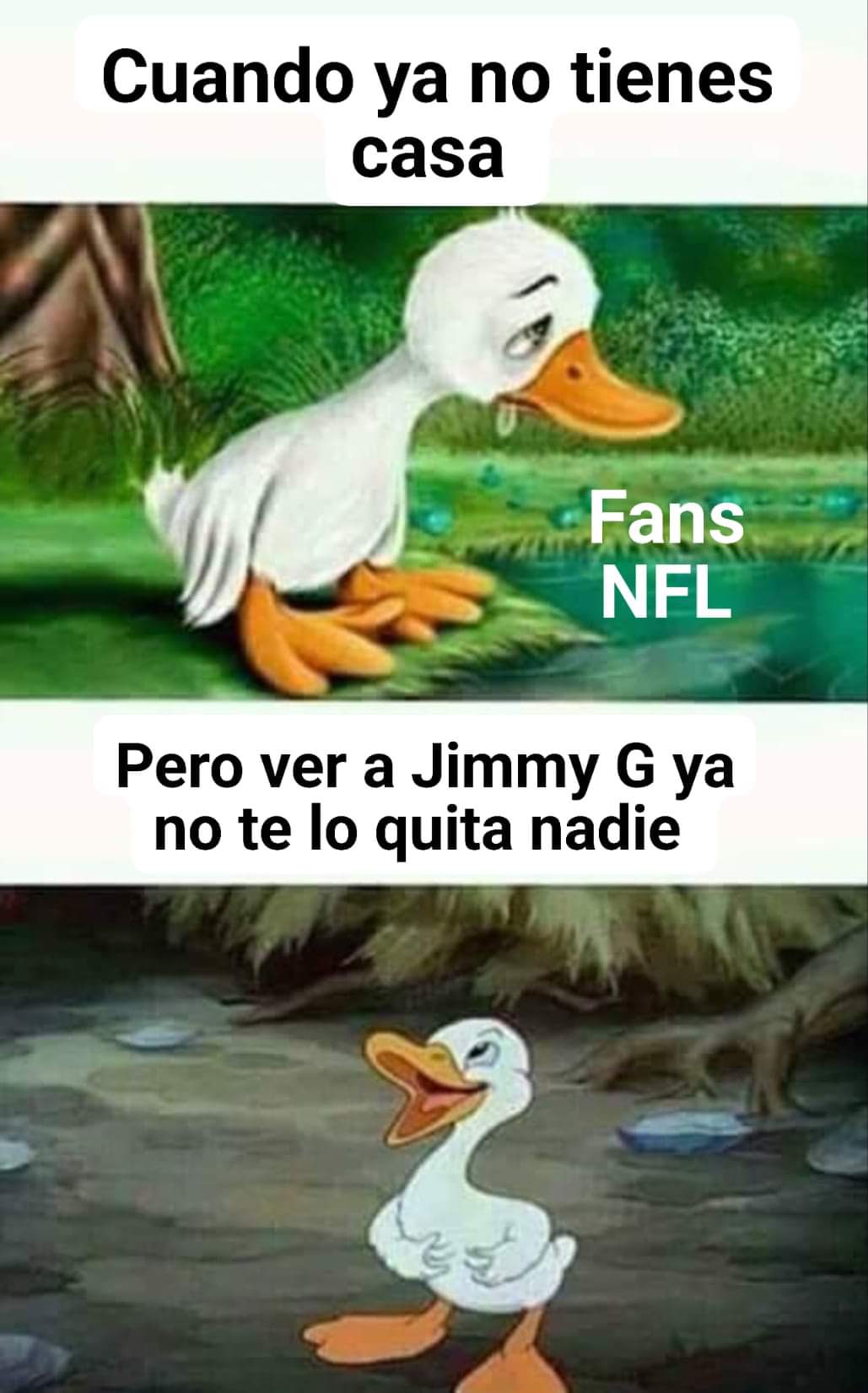 Fans NFL