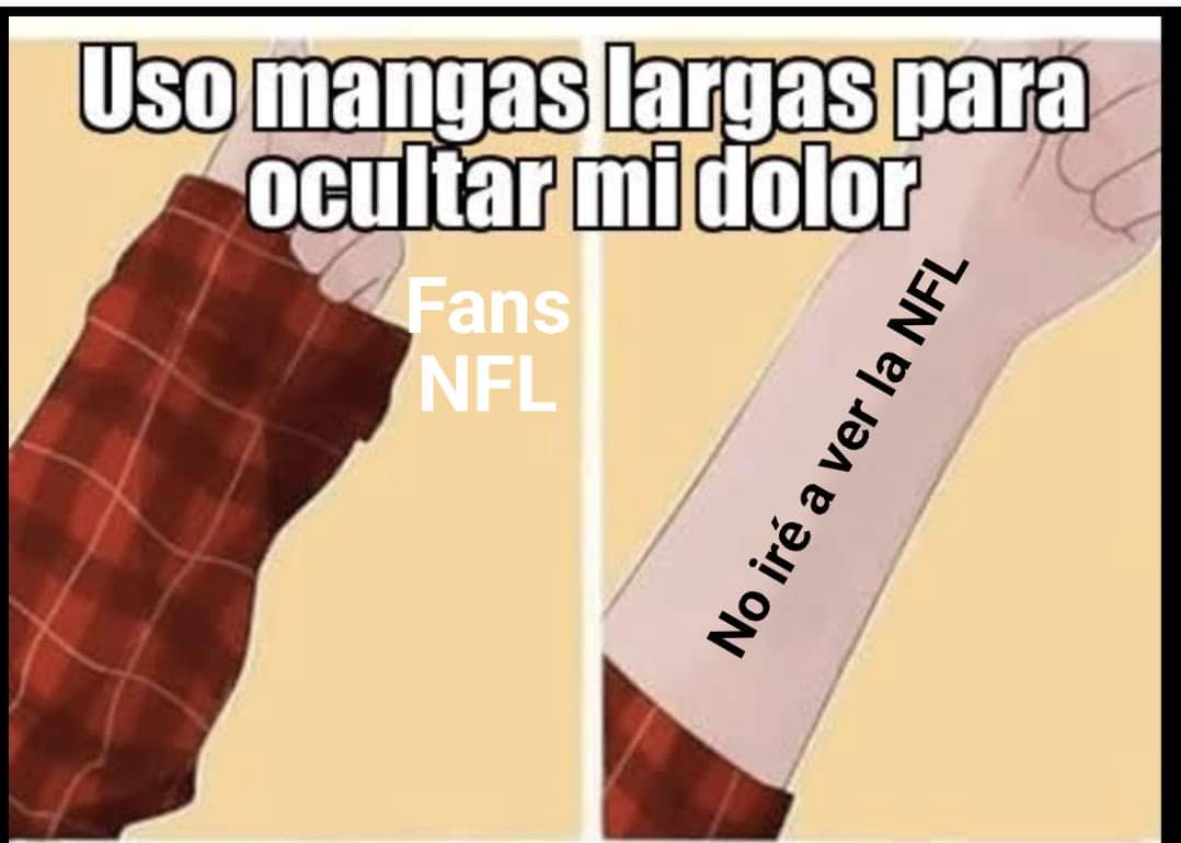 Fans NFL