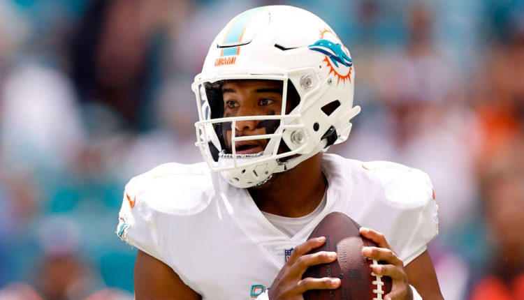 juego de los dolphins